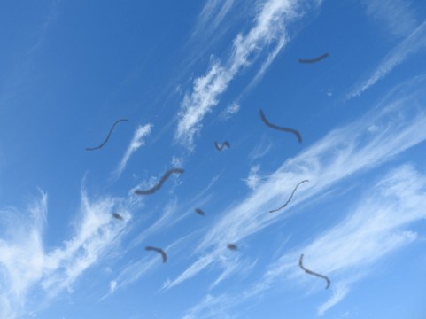 眼底出血の症状